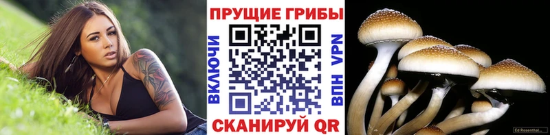 Галлюциногенные грибы ЛСД  Купить где  Таганрог 